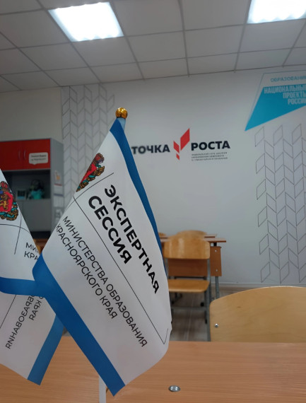 Экспертная сессия.